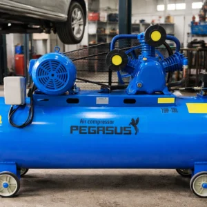 may nen khi pegasus trong gara